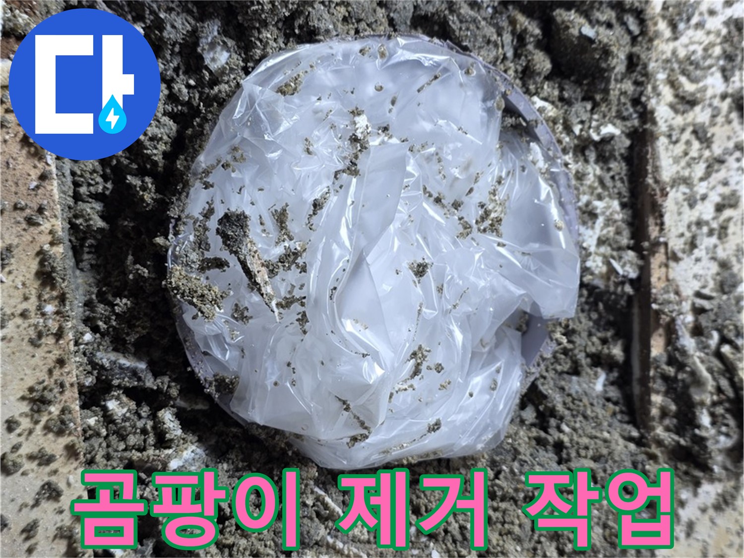 묵동 곰팡이 제거 작업 - 깨끗하게 싹!