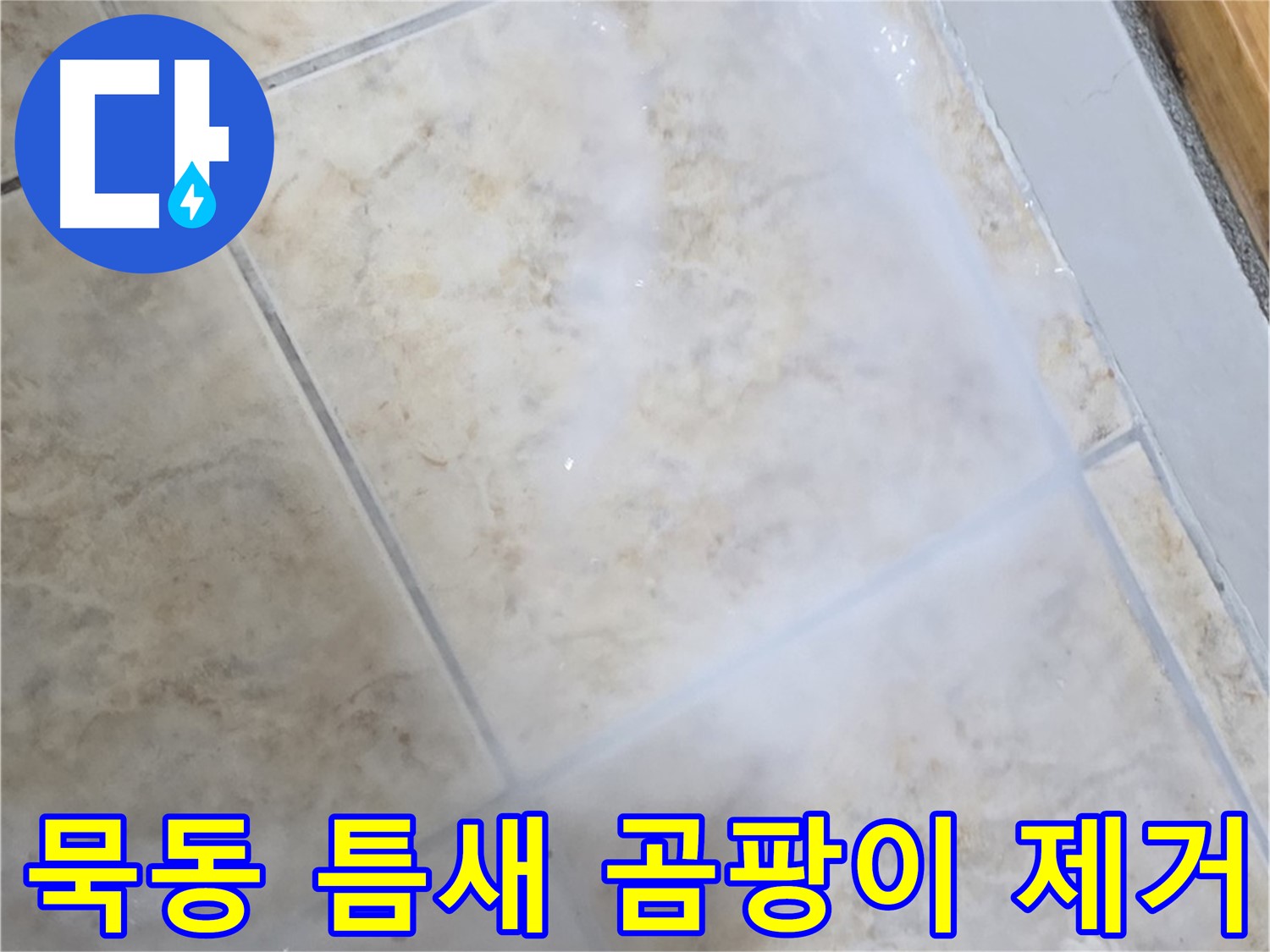 타일 틈새 곰팡이 - 완벽하게 제거하고 - 누수까지 차단!