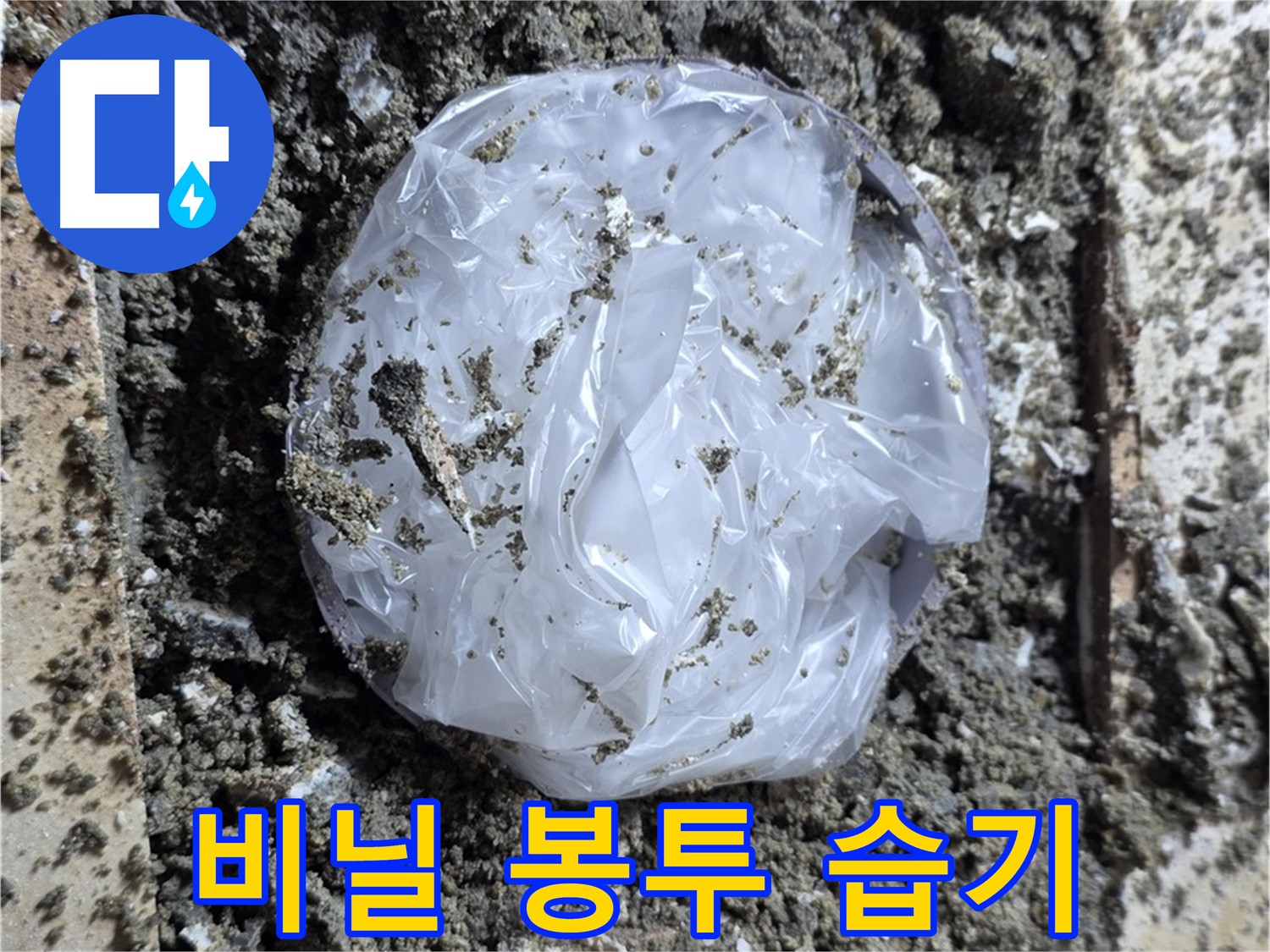 묵동 타일 밑 비닐 봉투 - 습기 저장고!