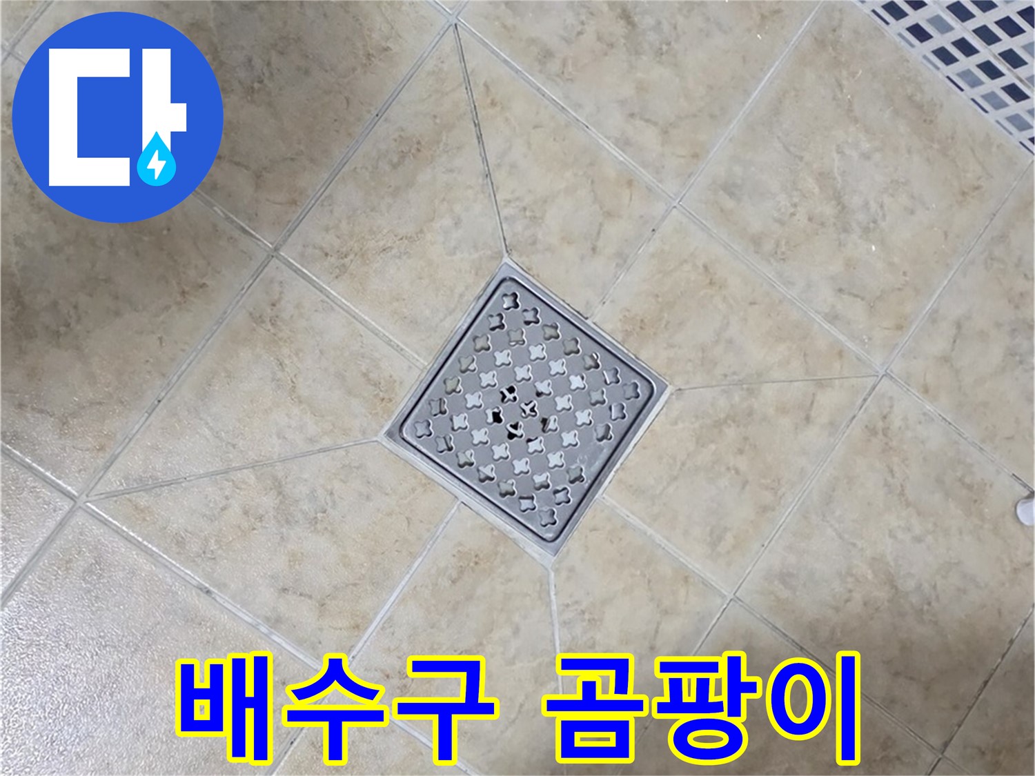 배수구 곰팡이 - 제거 후 방수