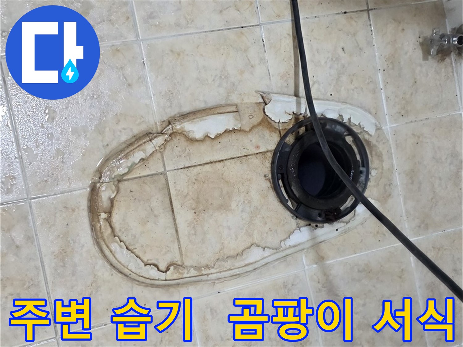 변기 누수 - 변기 주변 습기, 곰팡이 서식 환경 조성