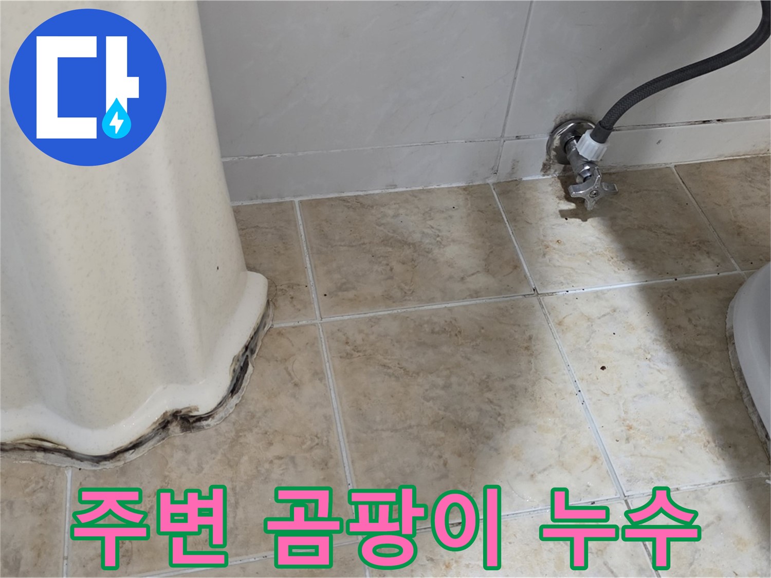세면대 주변 곰팡이 - 건강을 위협하는 적 - 곰팡이 제거 필수