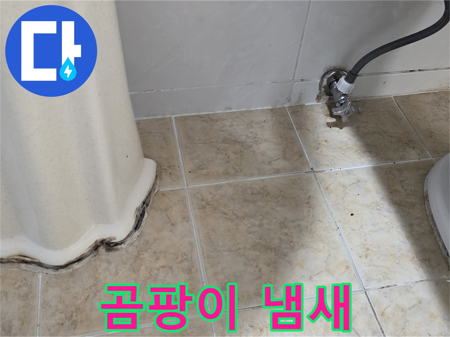 세면대 주변 곰팡이 냄새 - 상쾌한 욕실을 망치는 주범 - 냄새 제거 전문가