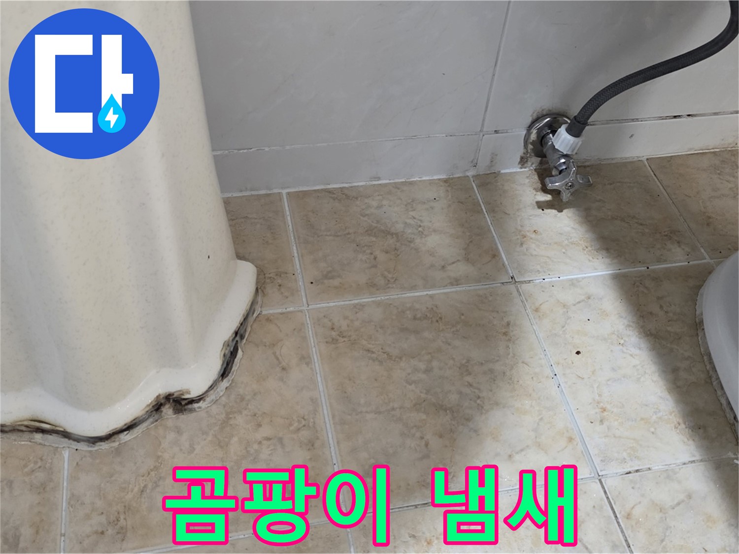 세면대 주변 곰팡이 냄새 - 쾌적한 욕실 시작 - 냄새 제거 전문가