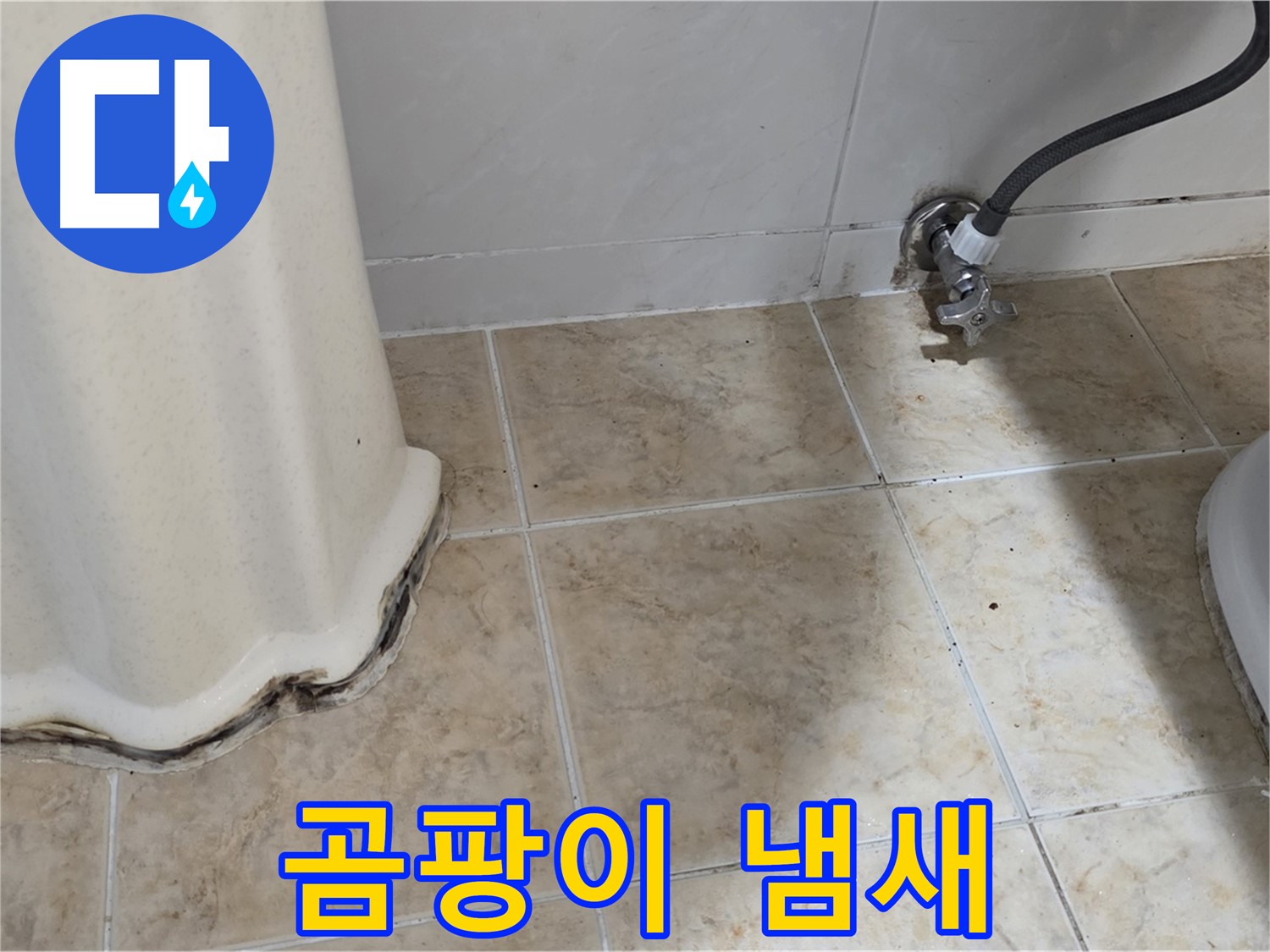 세면대 주변 곰팡이 냄새 - 쾌적한 욕실 시작 - 냄새 제거 전문가