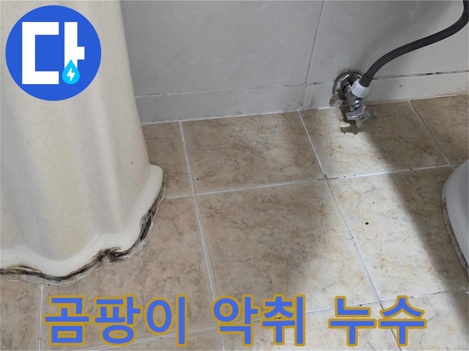 세면대 주변 곰팡이 악취 - 쾌적한 화장실 되찾기 - 냄새 제거 전문가.