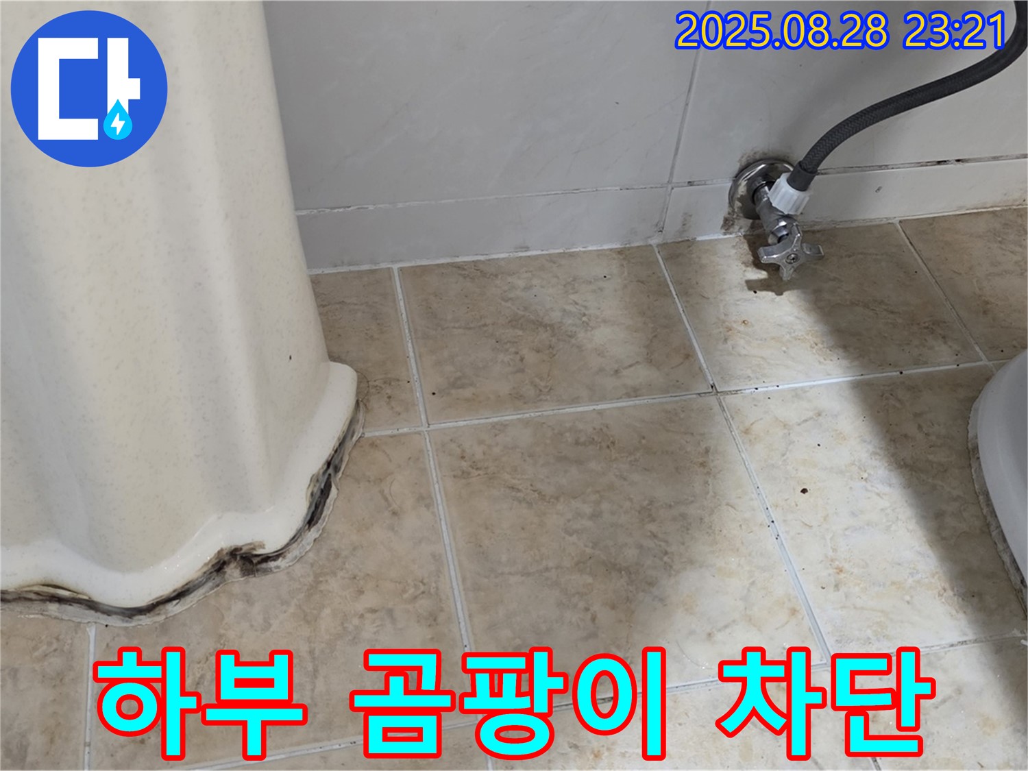 세면대 하부 곰팡이 누수 - 꼼꼼한 점검과 완벽한 시공으로 누수 걱정 없이!
