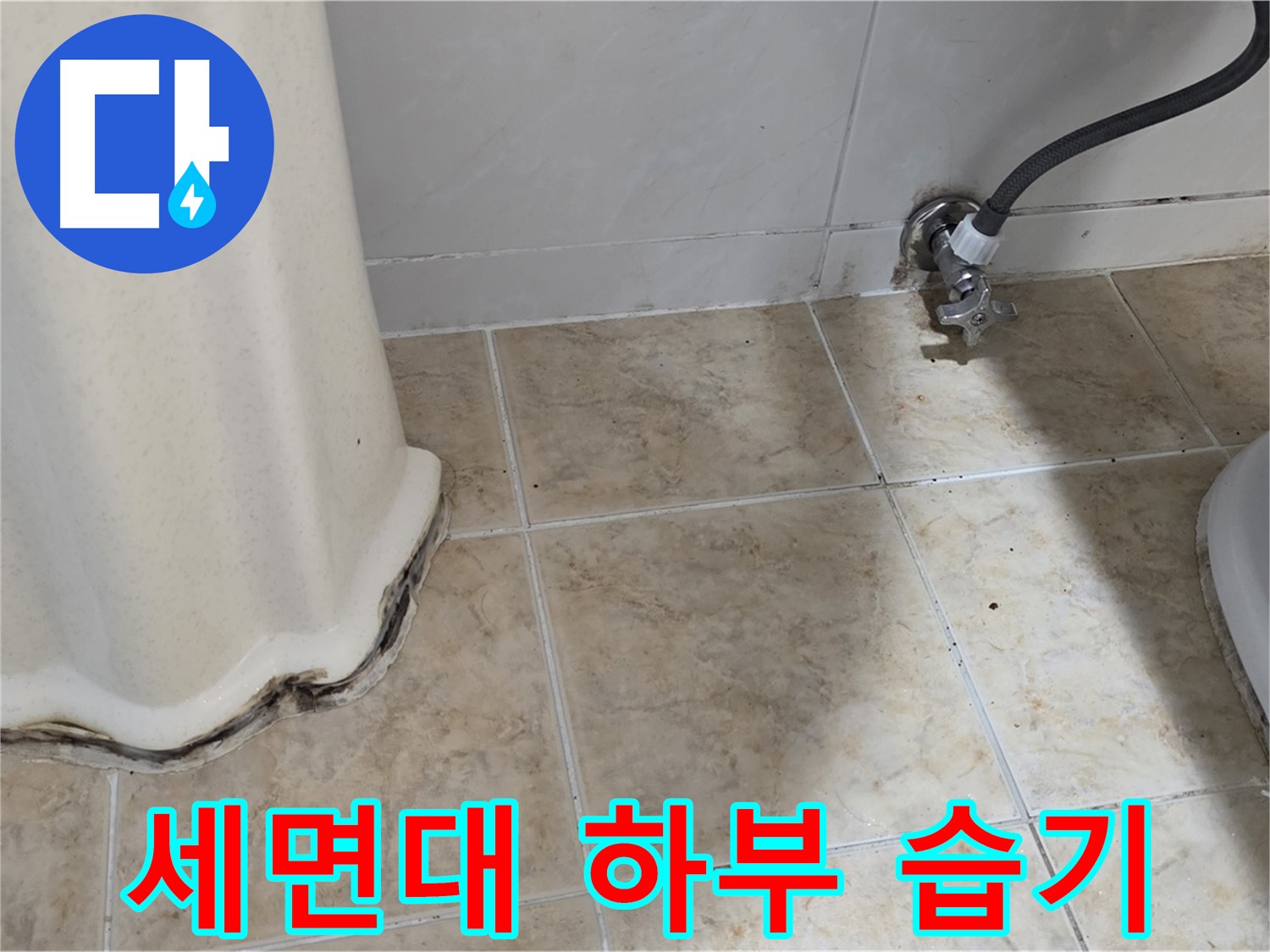 세면대 하부 습기 - 세면대 하부에 습기가 많아 곰팡이가 번식하기 쉬운 환경을 보여주는 (가상의) 사진입니다.