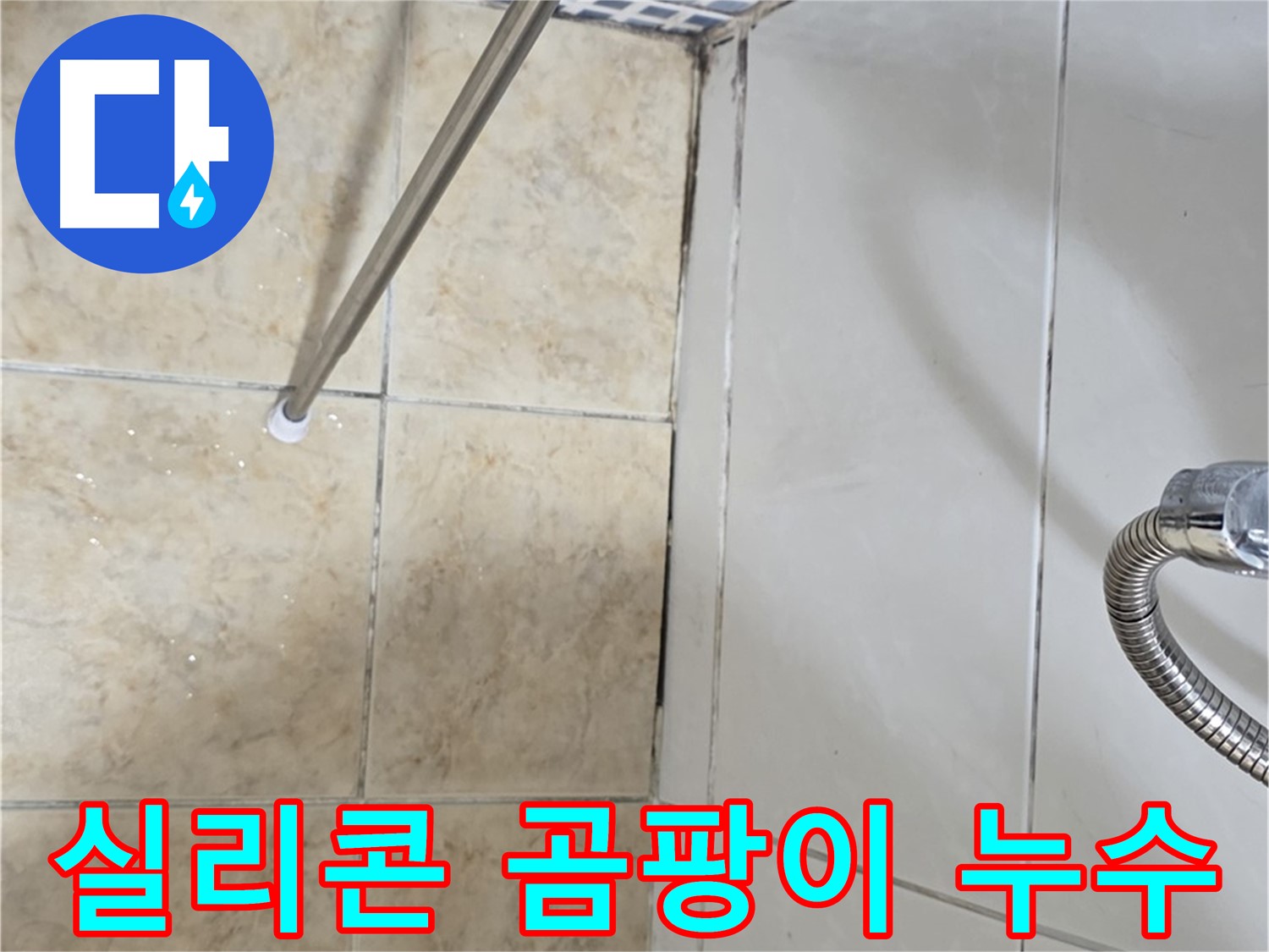 실리콘 곰팡이 - 누수 원인 - 꼼꼼한 보수