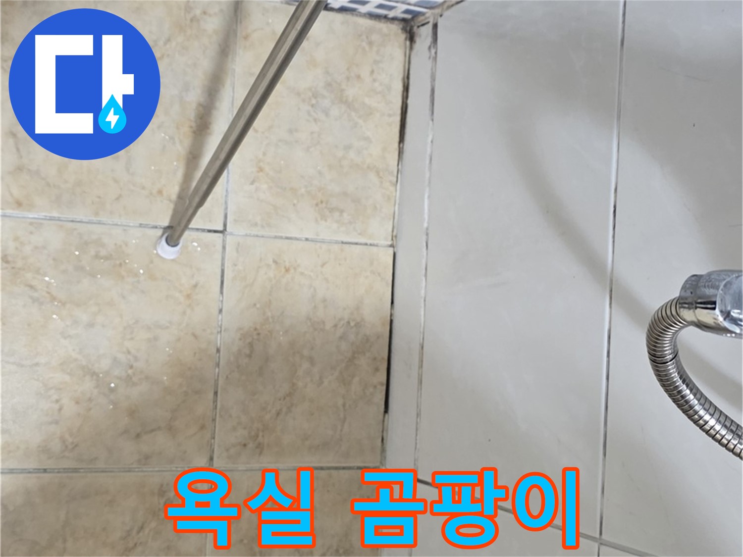 욕실 곰팡이 - 건강 - 전문가 상담 - 즉시