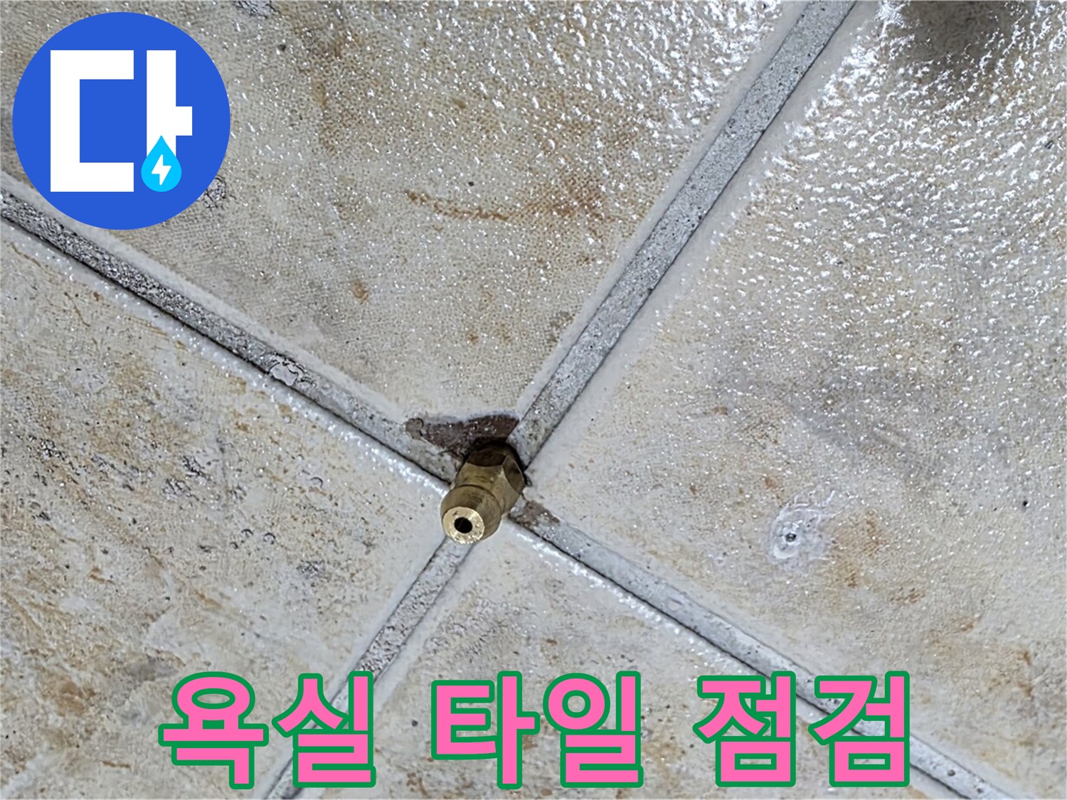 욕실 누수 - 타일 틈새 점검으로 해결