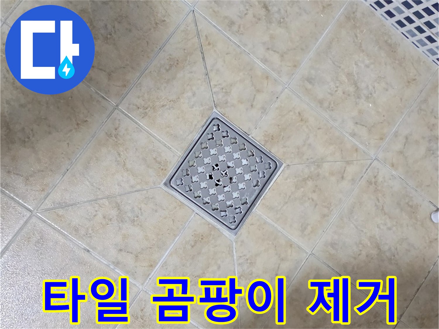 타일 곰팡이 - 항균 실리콘 시공