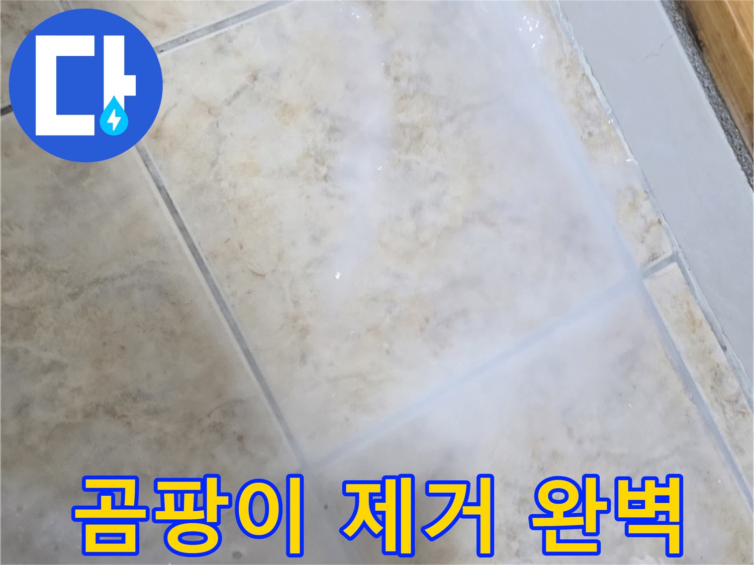 타일 틈새 곰팡이 - 제거부터 완벽하게 - 누수까지 해결!