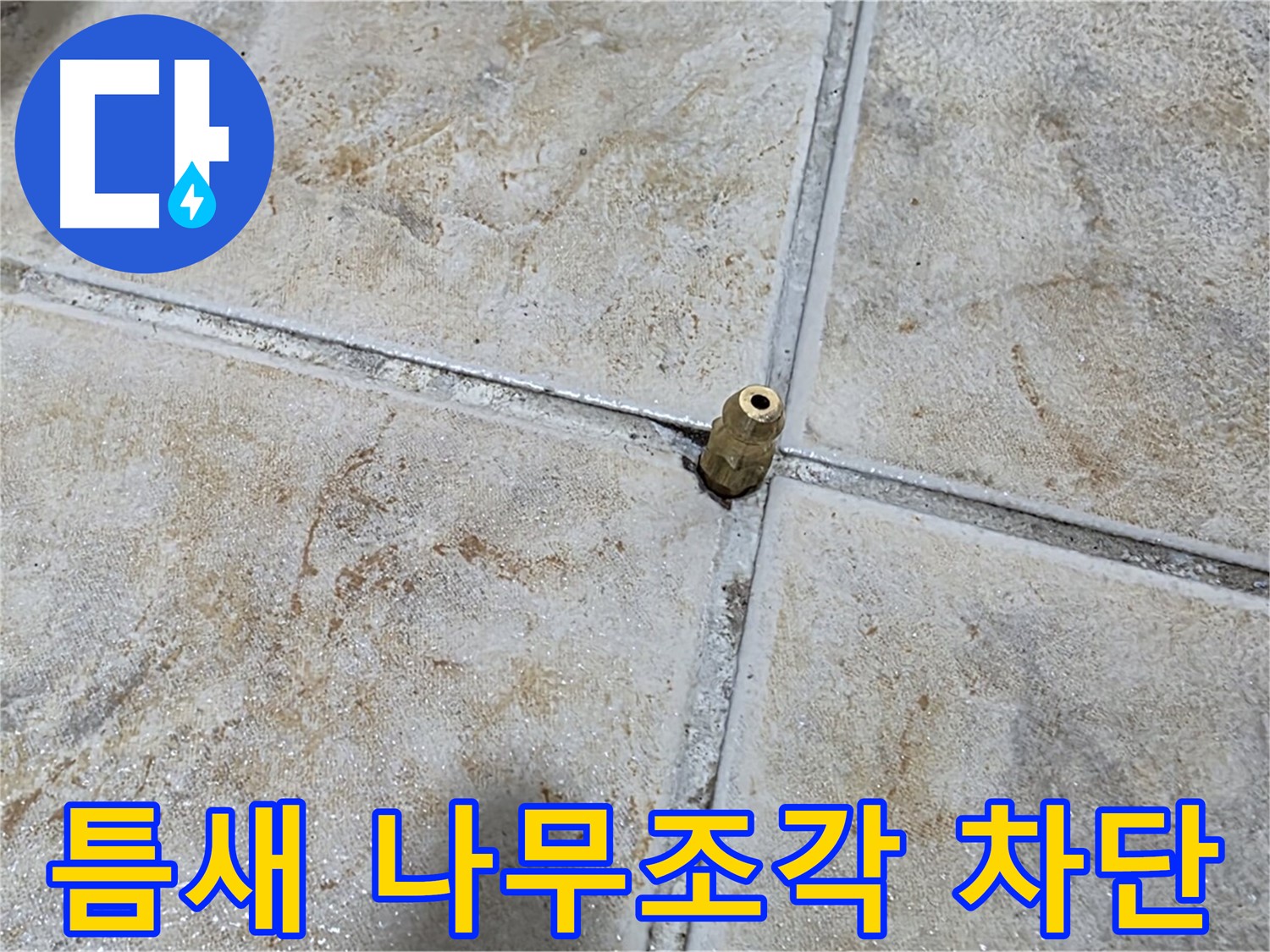 틈새 나무조각 차단 - 타일 틈새에 꽂힌 나무 조각, 중랑구 누수 완벽 차단 시공으로 해결합니다.
