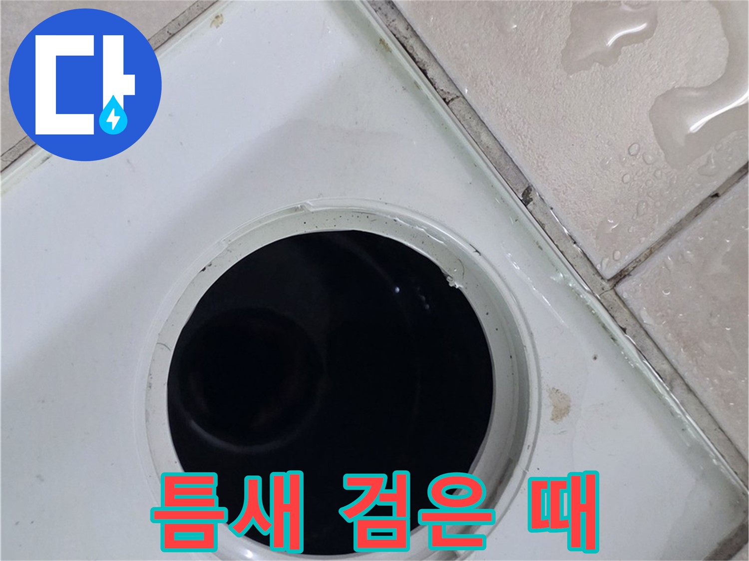 양주 백석 서광아침의빛아파트 욕실 배수구 주변 타일 틈새 검은 때 - 누수 연관성 확인
