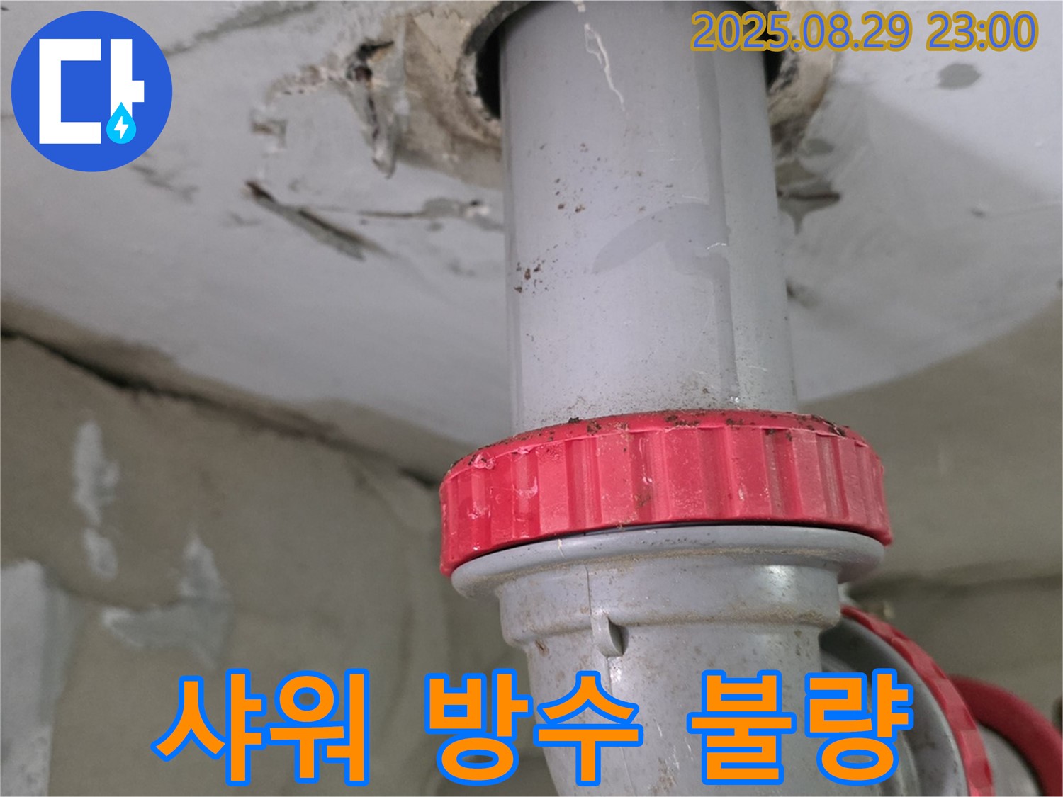 양주 백석 서광아파트 누수 - 윗집 샤워 부스 방수 불량으로 인한 하수 배관 누수