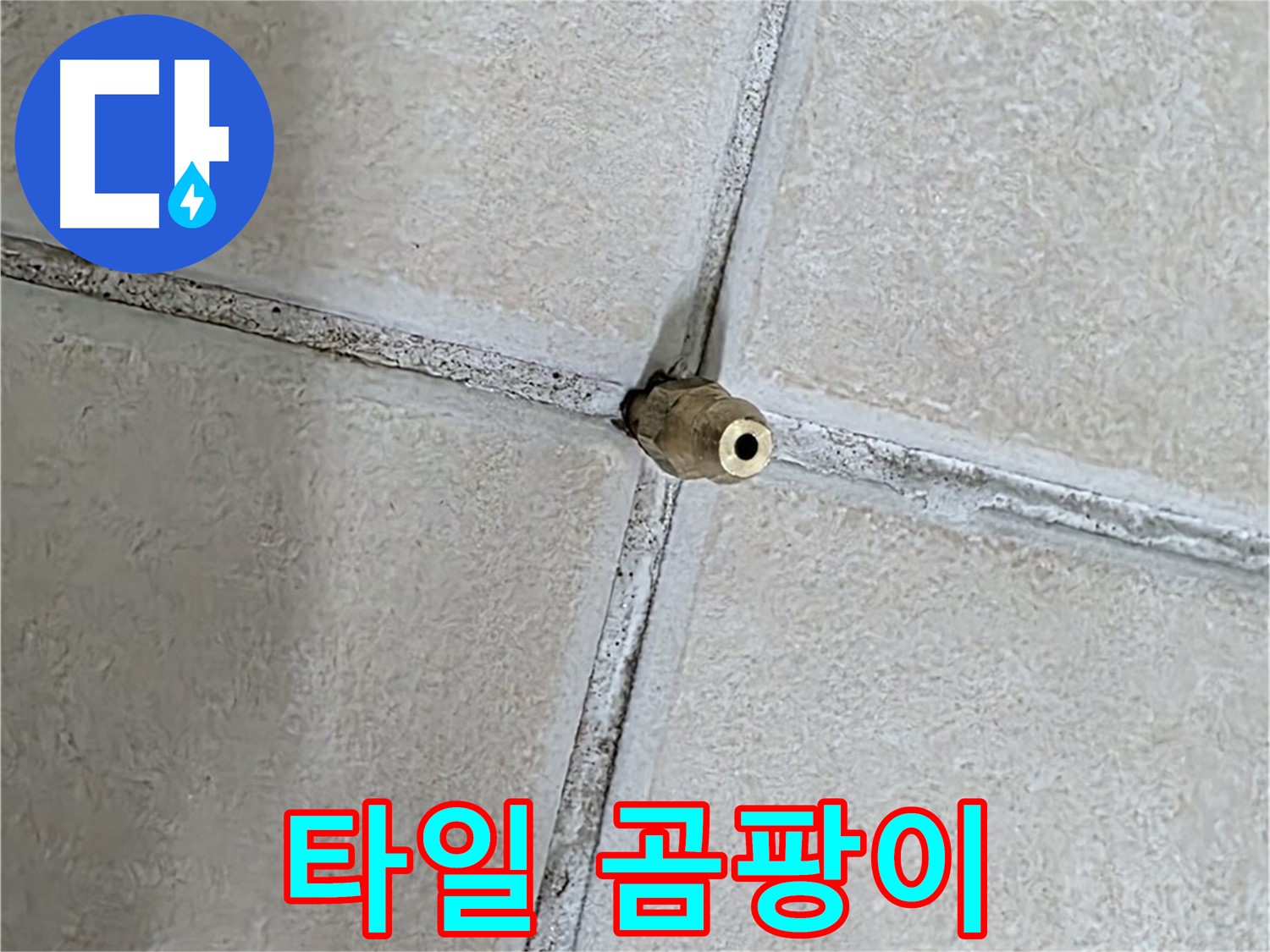 양주 백석 서광아파트 누수 - 타일 틈새의 곰팡이는 누수뿐만 아니라 건강에도 악영향을 미칠 수 있습니다.