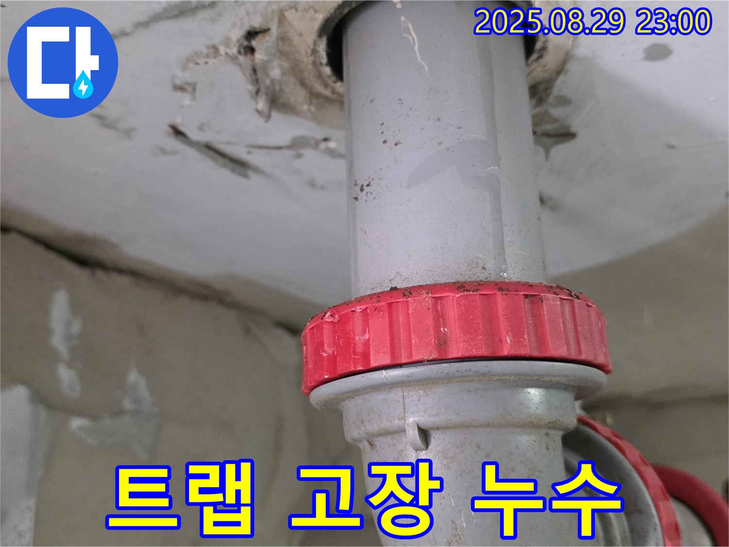 양주 백석 서광아파트 누수 - 하수 배관의 배수 트랩 고장으로 인한 누수