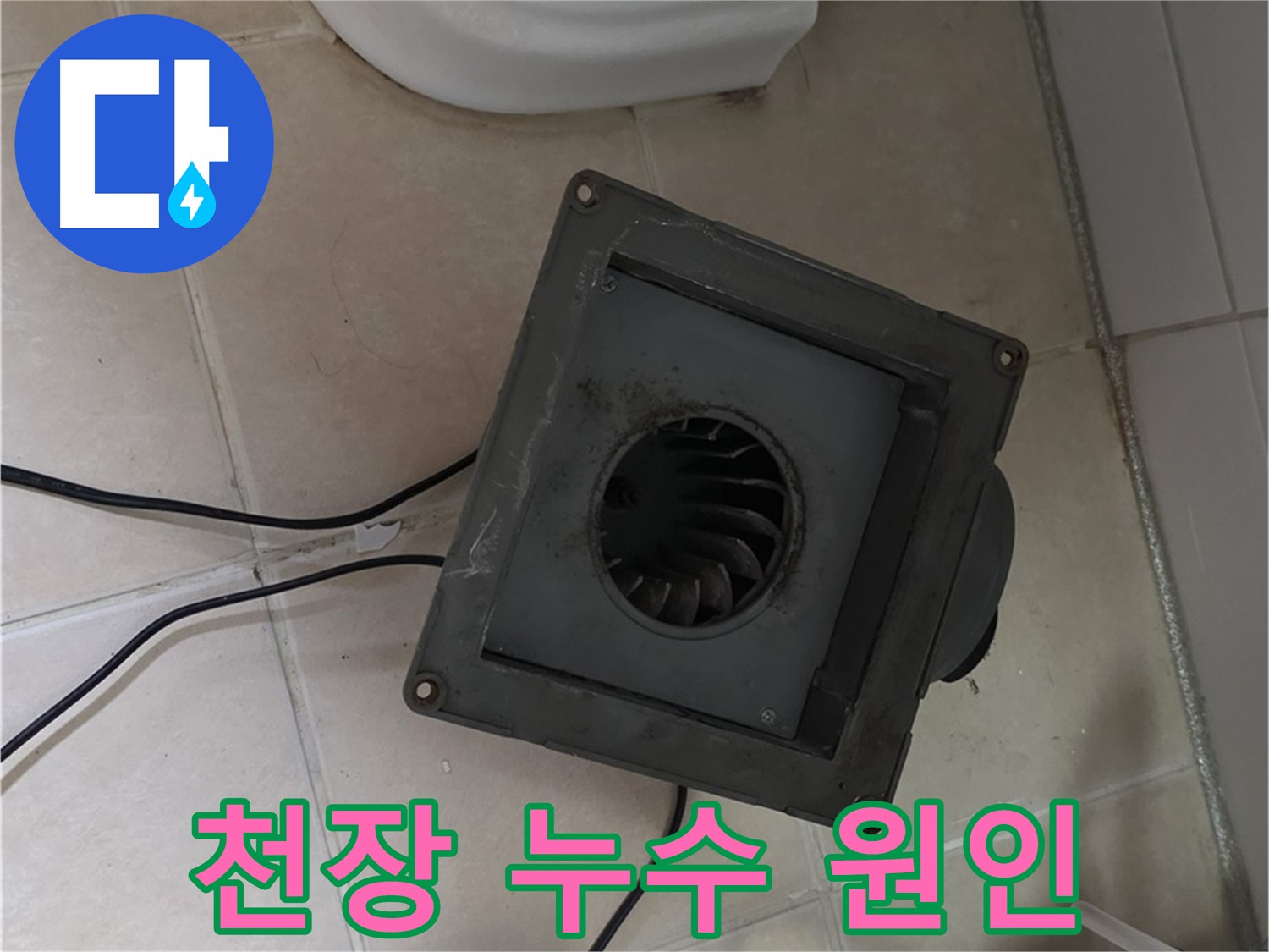 양주 백석 서광아파트 천장 누수 원인 파악 - 배관 및 방수 점검