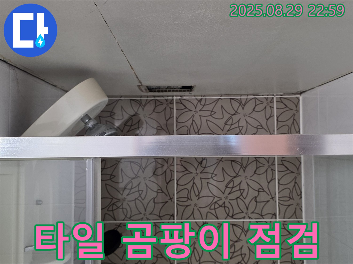 양주 서광아침의빛아파트 욕실 - 샤워기 벽면 타일 틈새 백화현상 및 곰팡이 점검 사진