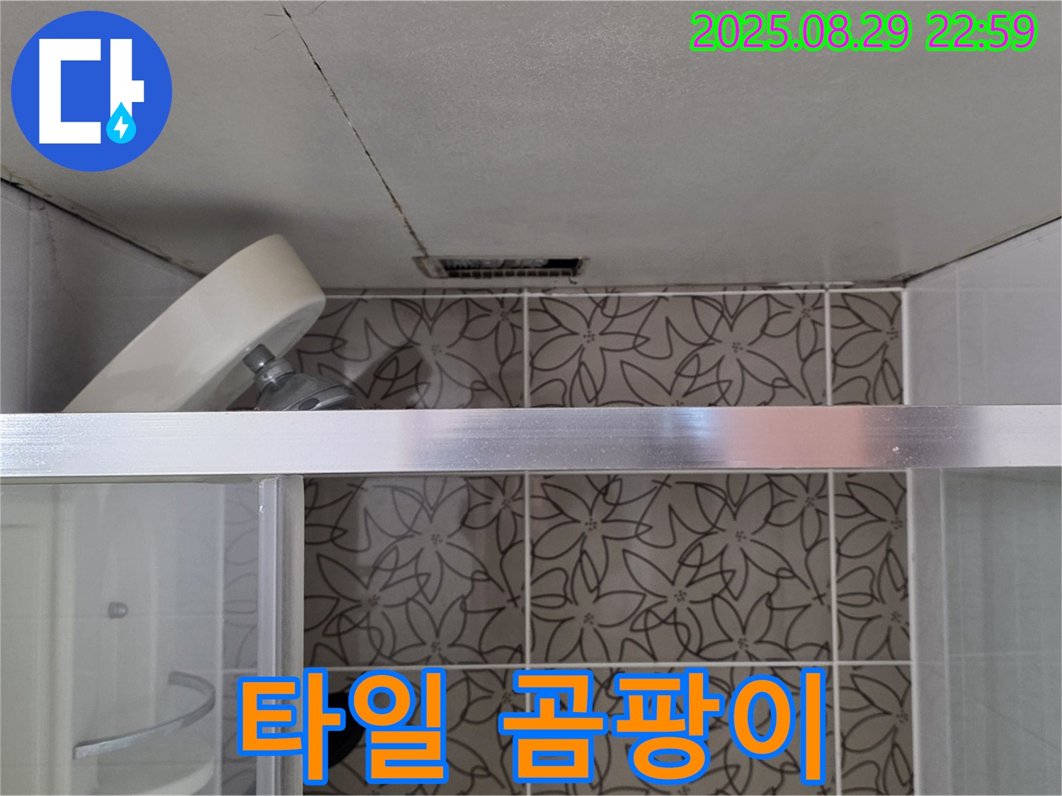 양주 서광아침의빛아파트 욕실 - 샤워기 수전 주변 타일 틈새 오염 및 곰팡이 확인 사진