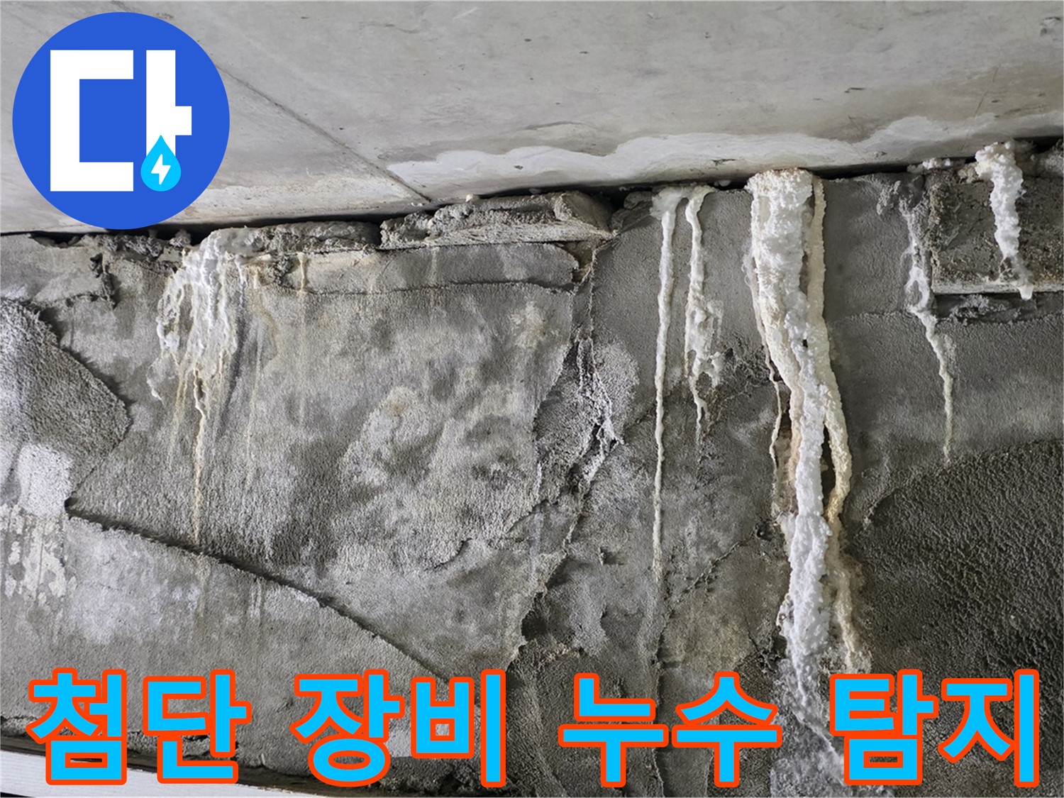 분당 누수 탐지 - 첨단 장비로 숨은 누수 소탕