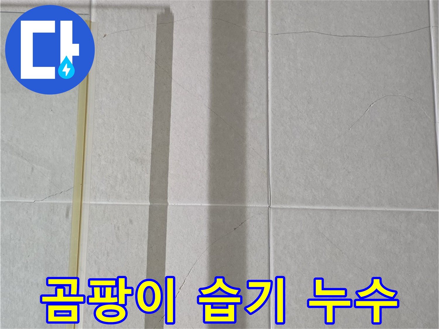 분당 욕실 벽 타일 누수 - 곰팡이 발생 및 습기 문제 해결 전문
