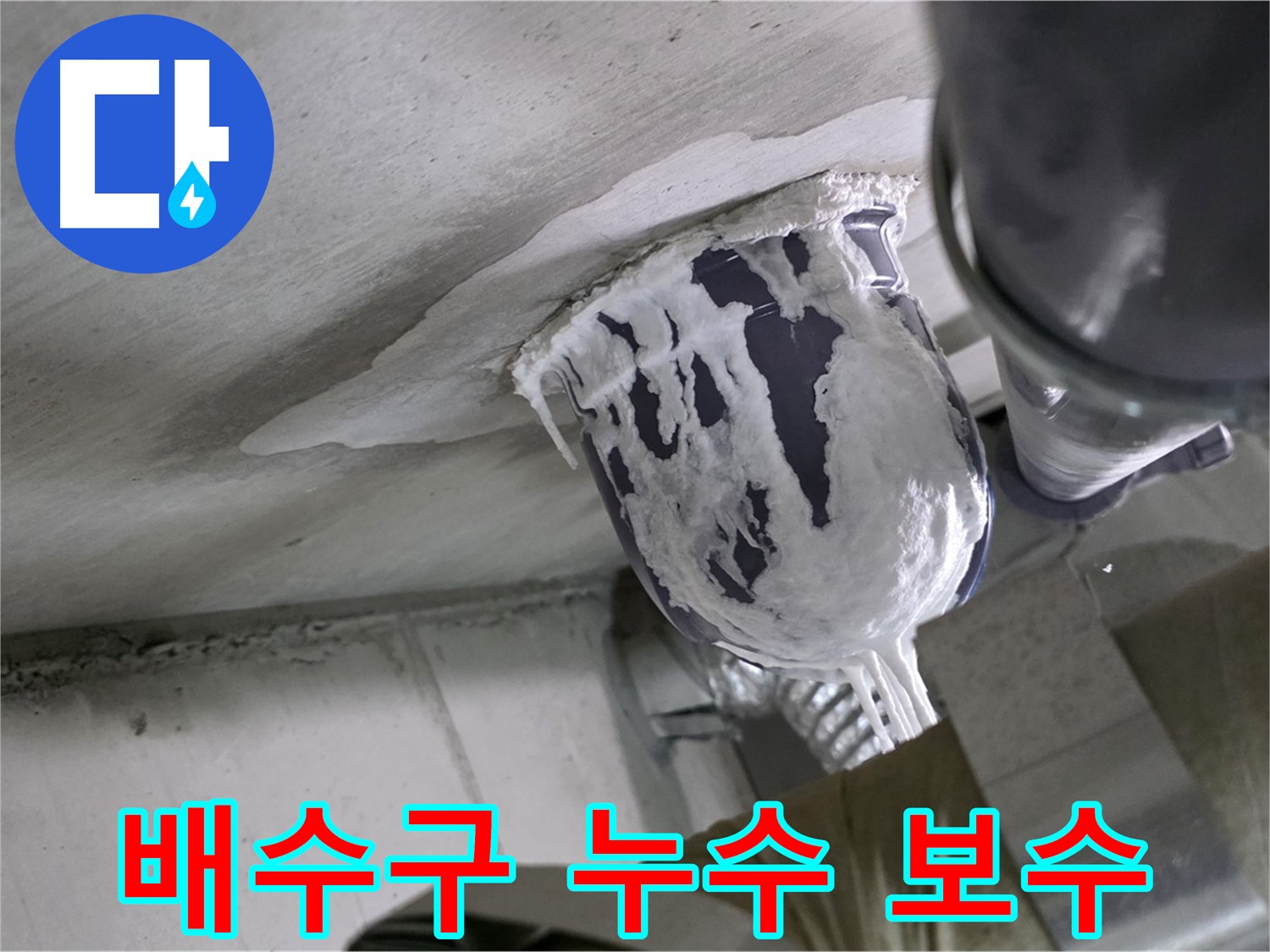 분당 운중동 배수구 누수 - 꼼꼼한 보수로 누수 완벽 해결 완료