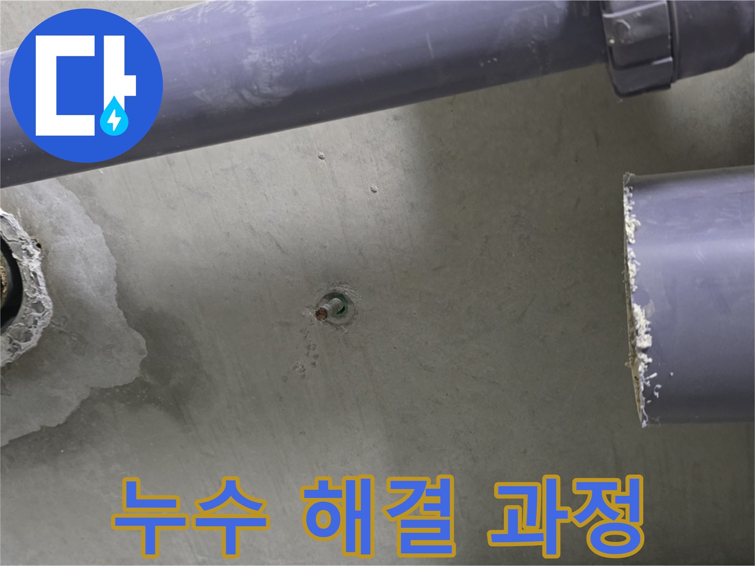 분당 운중동 산운로 121 6단지 아파트 누수 현장에서 누수 해결 과정을 보여주는 사진 - 누수 탐지부터 완벽한 시공까지 책임지고 해결합니다.