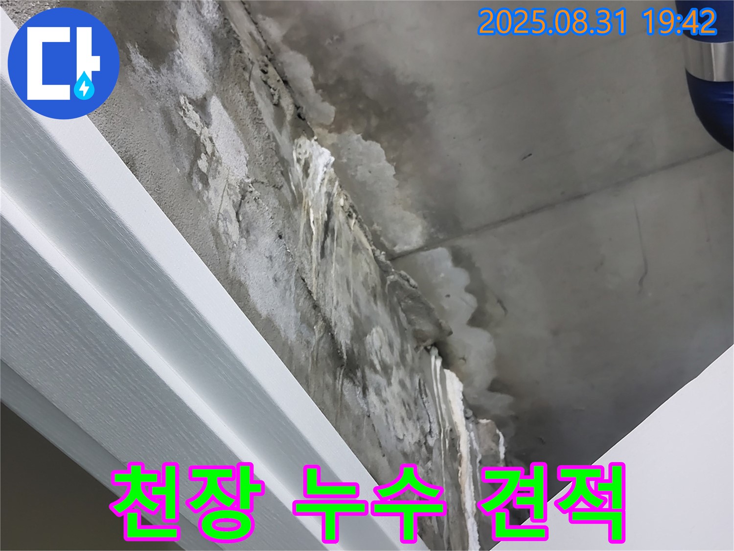 분당 운중동 산운로 천장 누수 견적 - 합리적인 견적, 확실한 시공 약속!
