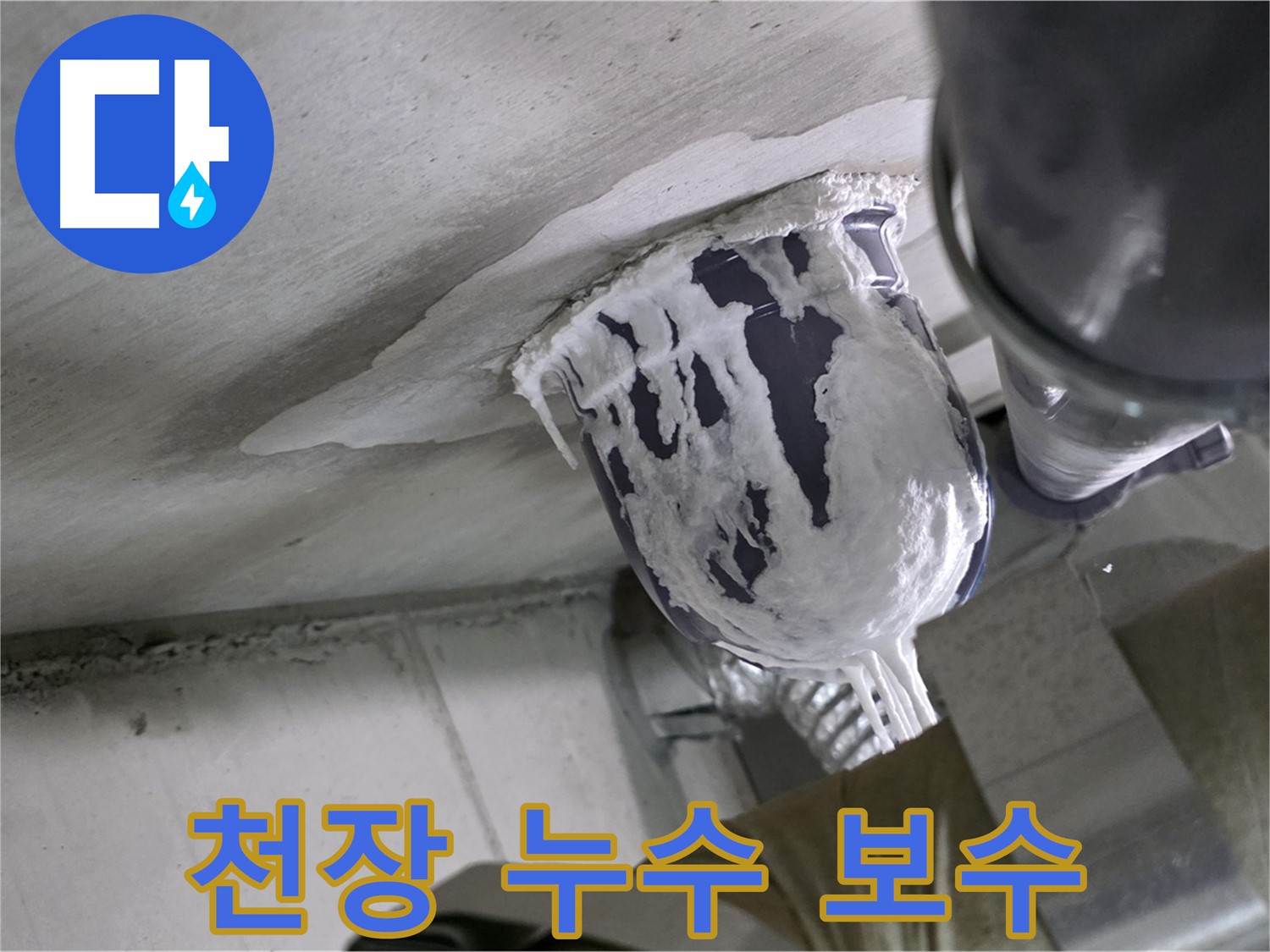 분당 운중동 산운마을 - 꼼꼼한 천장 누수 보수로 완벽 해결 완료