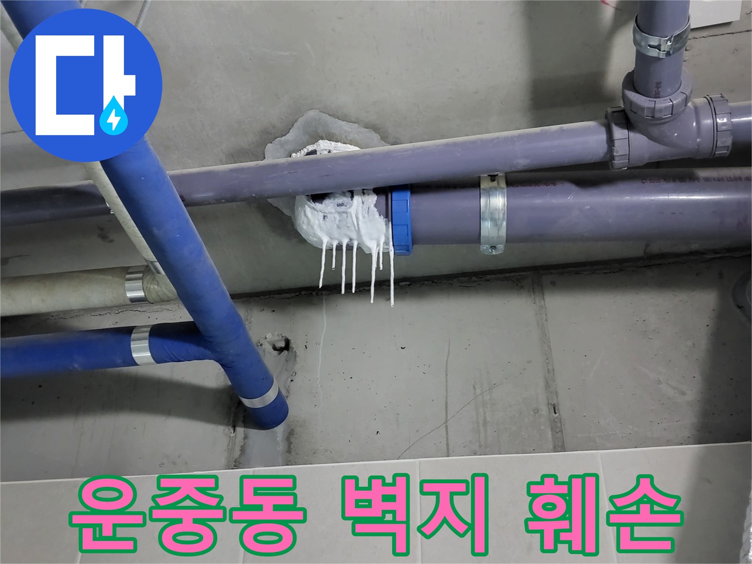분당 운중동 하수 누수 - 벽지 훼손과 곰팡이 번식 심화