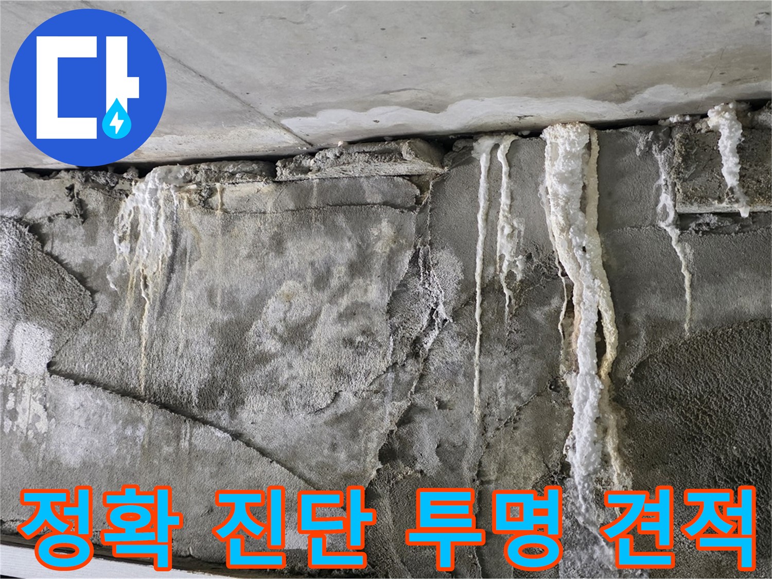 성남 누수 탐지 - 정확한 진단과 투명한 견적, 고객 만족도 100%