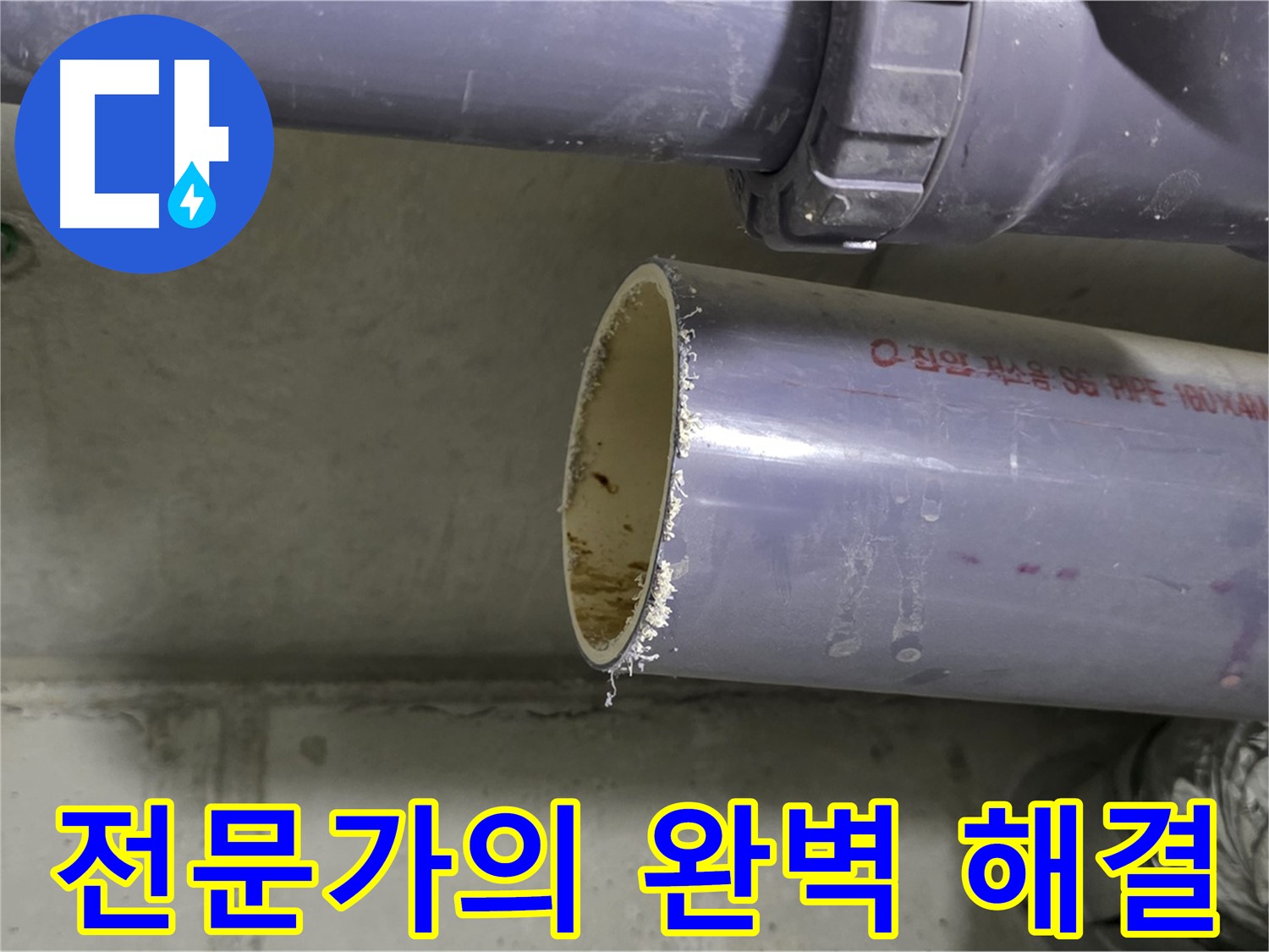 분당구 운중동 누수 현장 - 누수 문제를 해결하고 있는 전문가의 모습