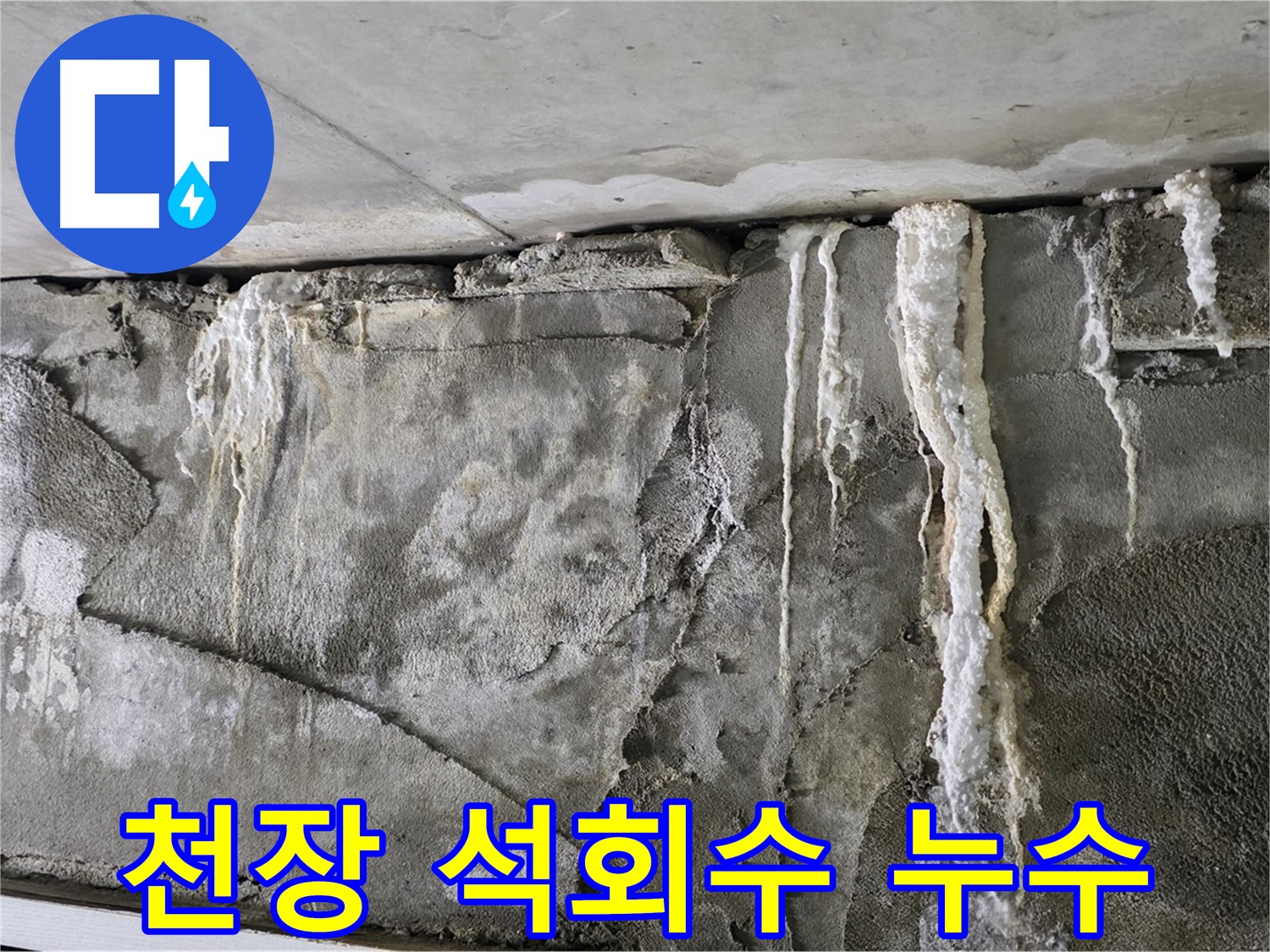 운중동 누수 - 천장 석회수, 건물 붕괴 막자