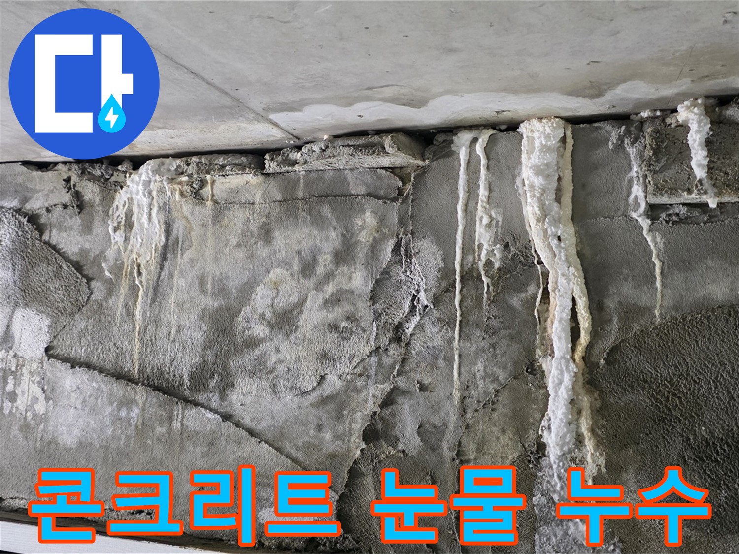 운중동 누수 - 콘크리트 벽 눈물, 건물 골병