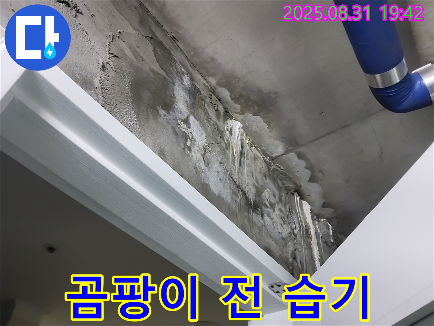 천장 습기 - 곰팡이 전조 - 천장 곰팡이 발생 전 습기가 가득한 상태를 보여줍니다.