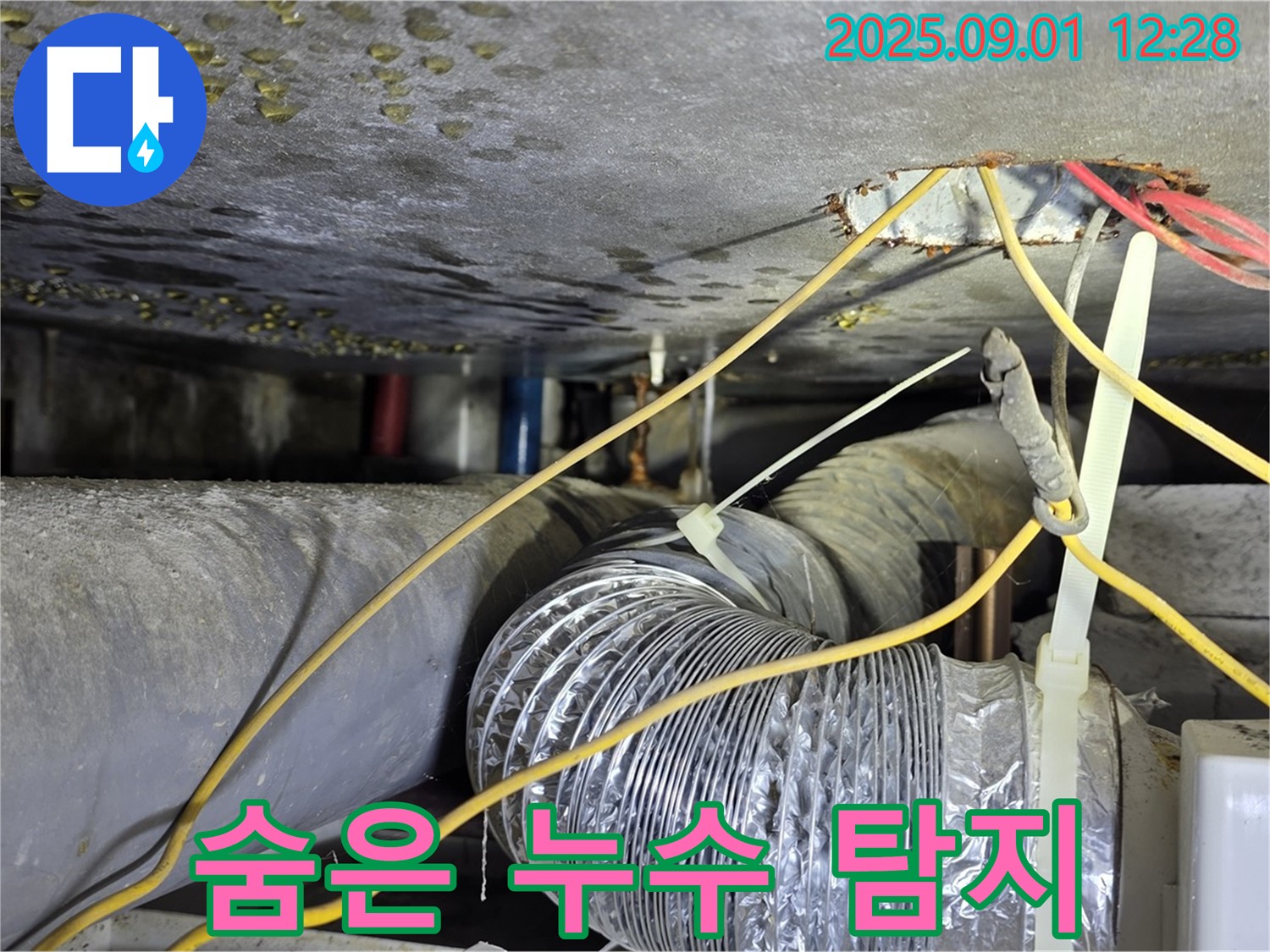 광진구 능동 누수 - 최첨단 장비로 숨은 누수까지 완벽 탐지