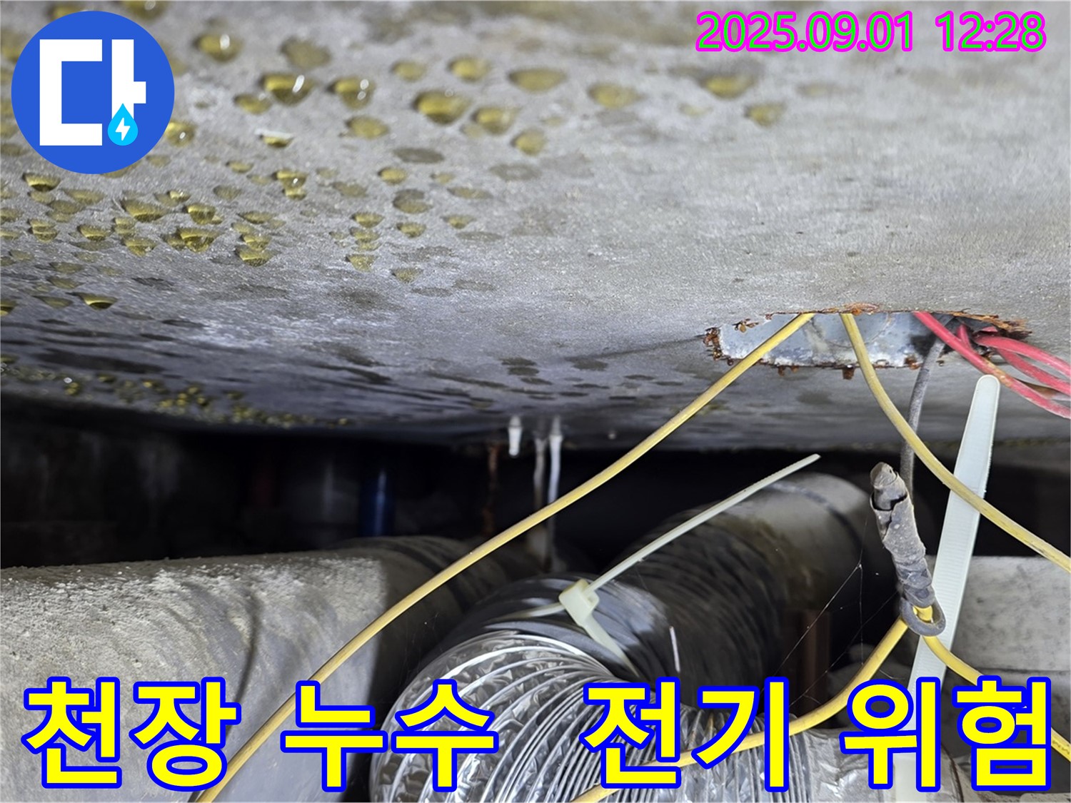 광진구 능동 다세대주택 천장 - 전기 배선 주변 누수, 감전 위험 주의