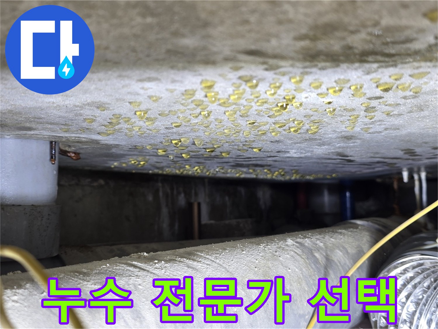 광진구 능동 빌라 누수 - 누수 전문가의 확실한 선택