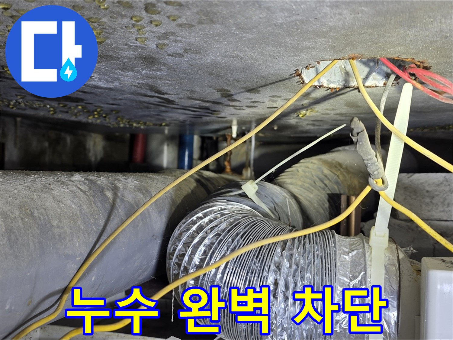 능동 천장 누수 완벽 차단 성공 - 고객 만족 후기 공개