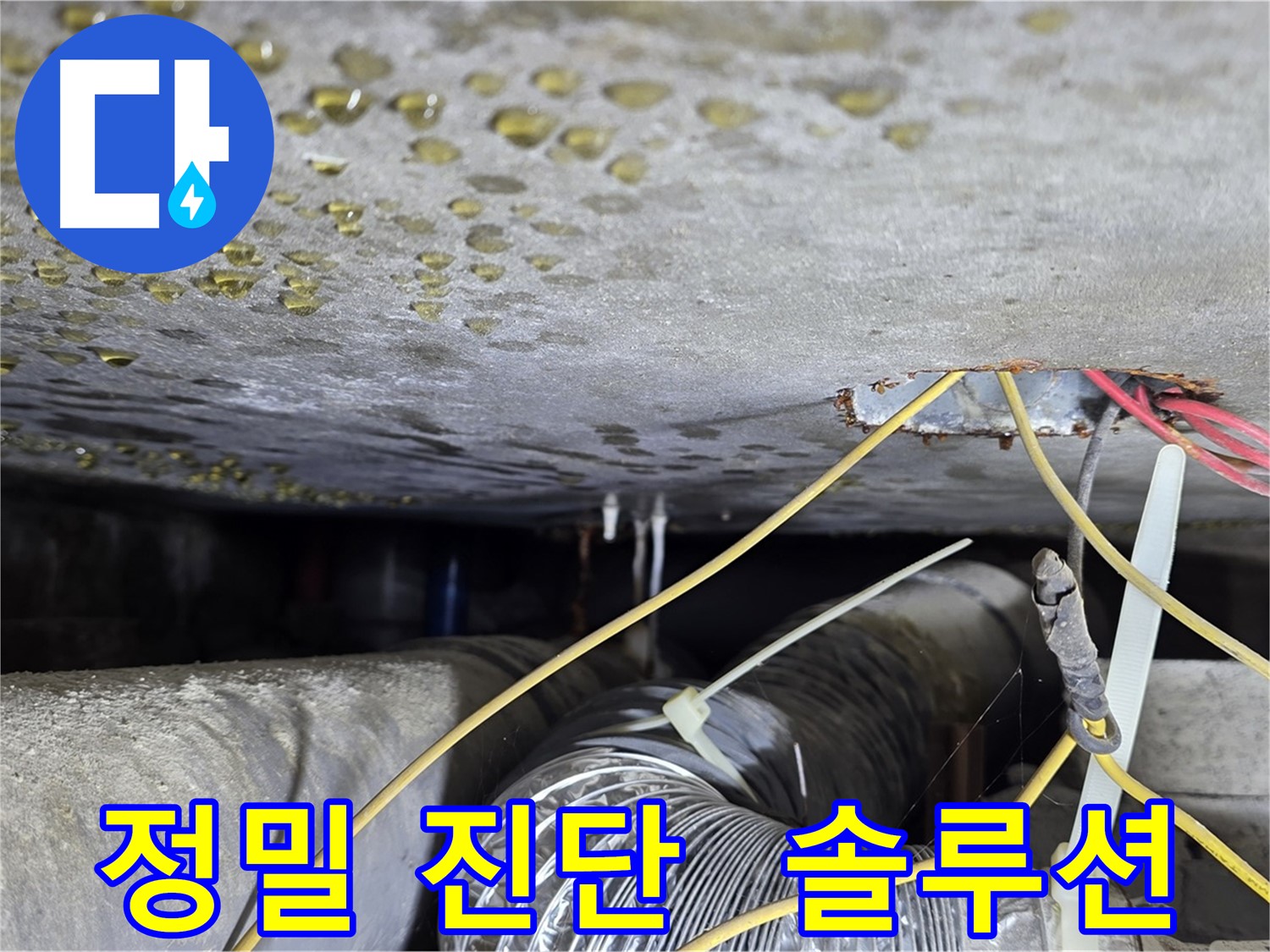 빌라 누수 진단 및 맞춤 솔루션 - 콘크리트 균열과 배관 문제로 인한 누수 해결