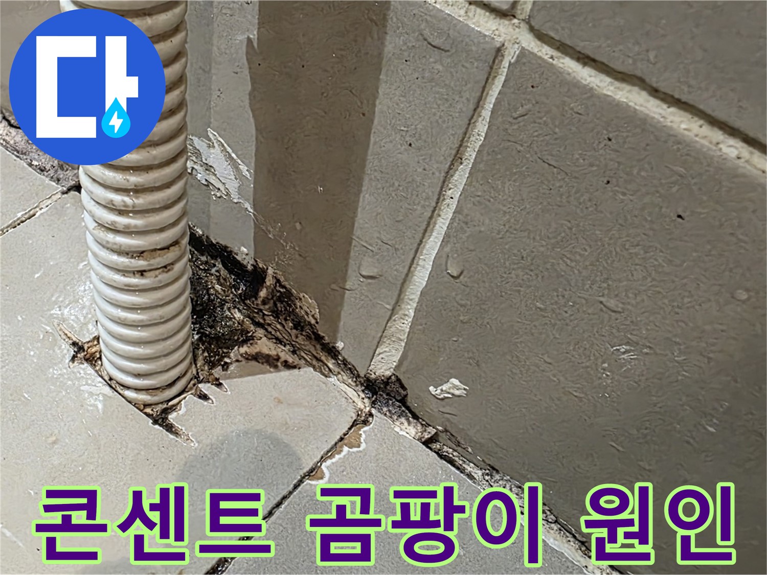 용산구 상가 누수 - 콘센트 배관 주변 곰팡이의 정확한 원인 분석