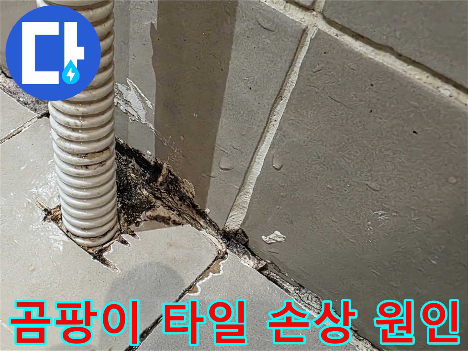 한강로2가 상가 화장실 누수 - 배관 주변 곰팡이와 타일 손상 원인 분석