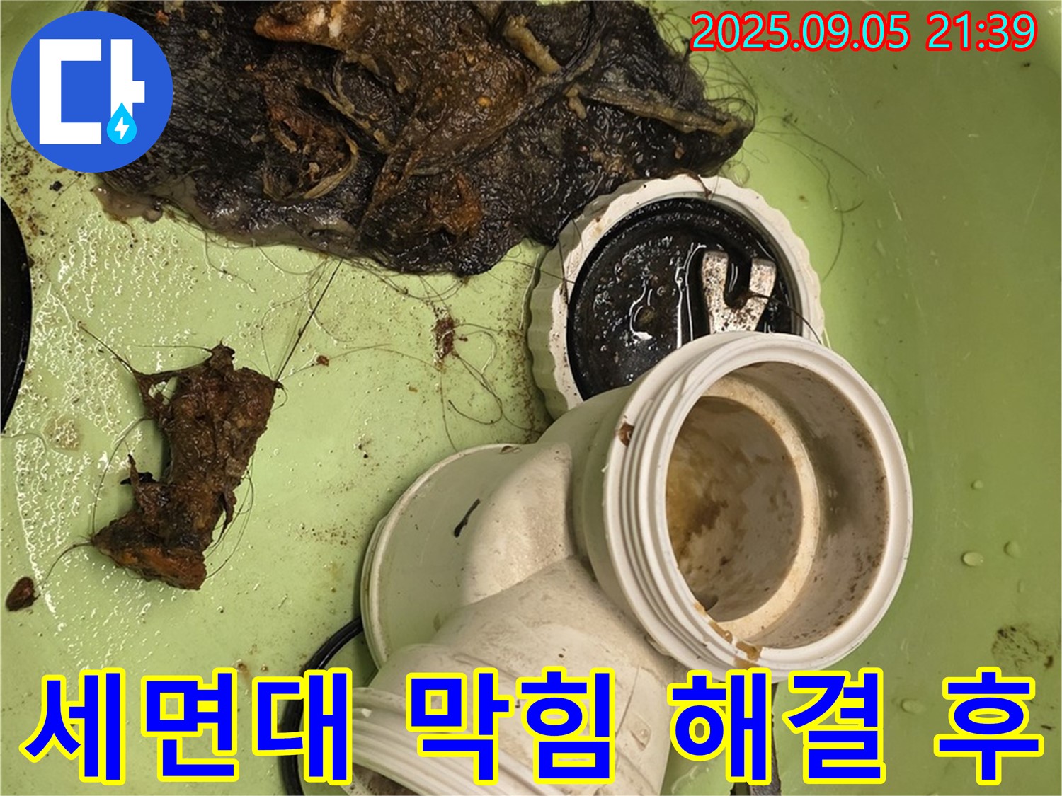 머리카락과 이물질 제거 후 깨끗해진 배수구 - 이제 안심하세요!