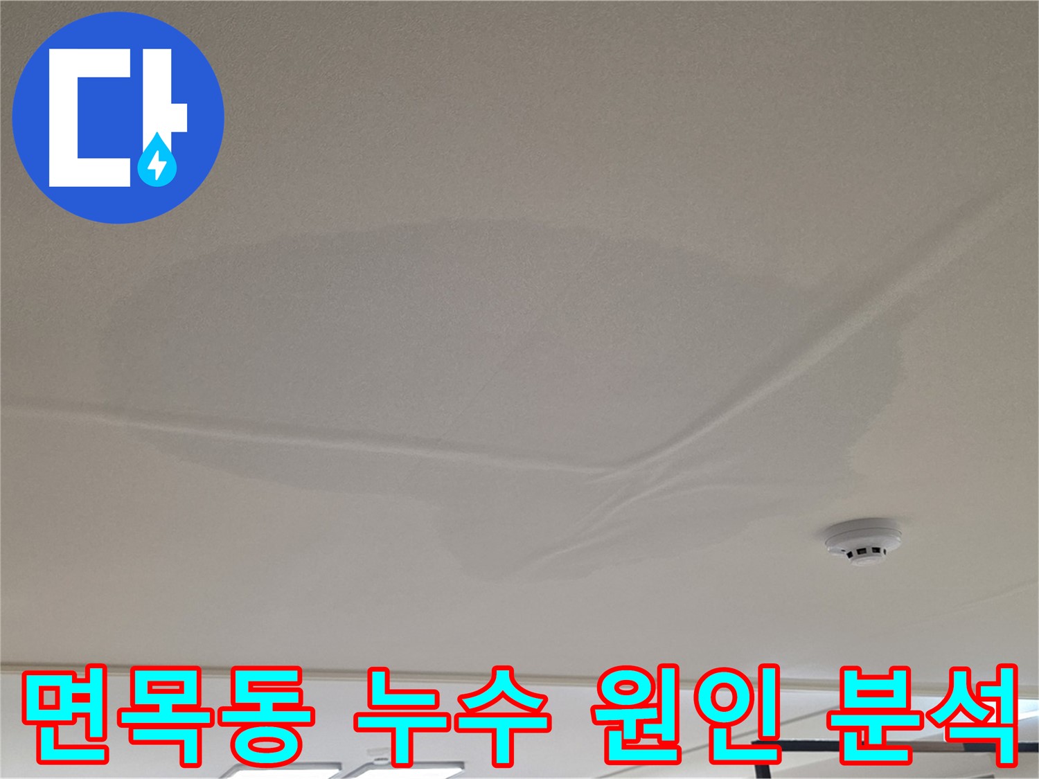 아랫집 천장 누수 - 넓은 범위 물 얼룩 - 누수 원인 정밀 분석 중