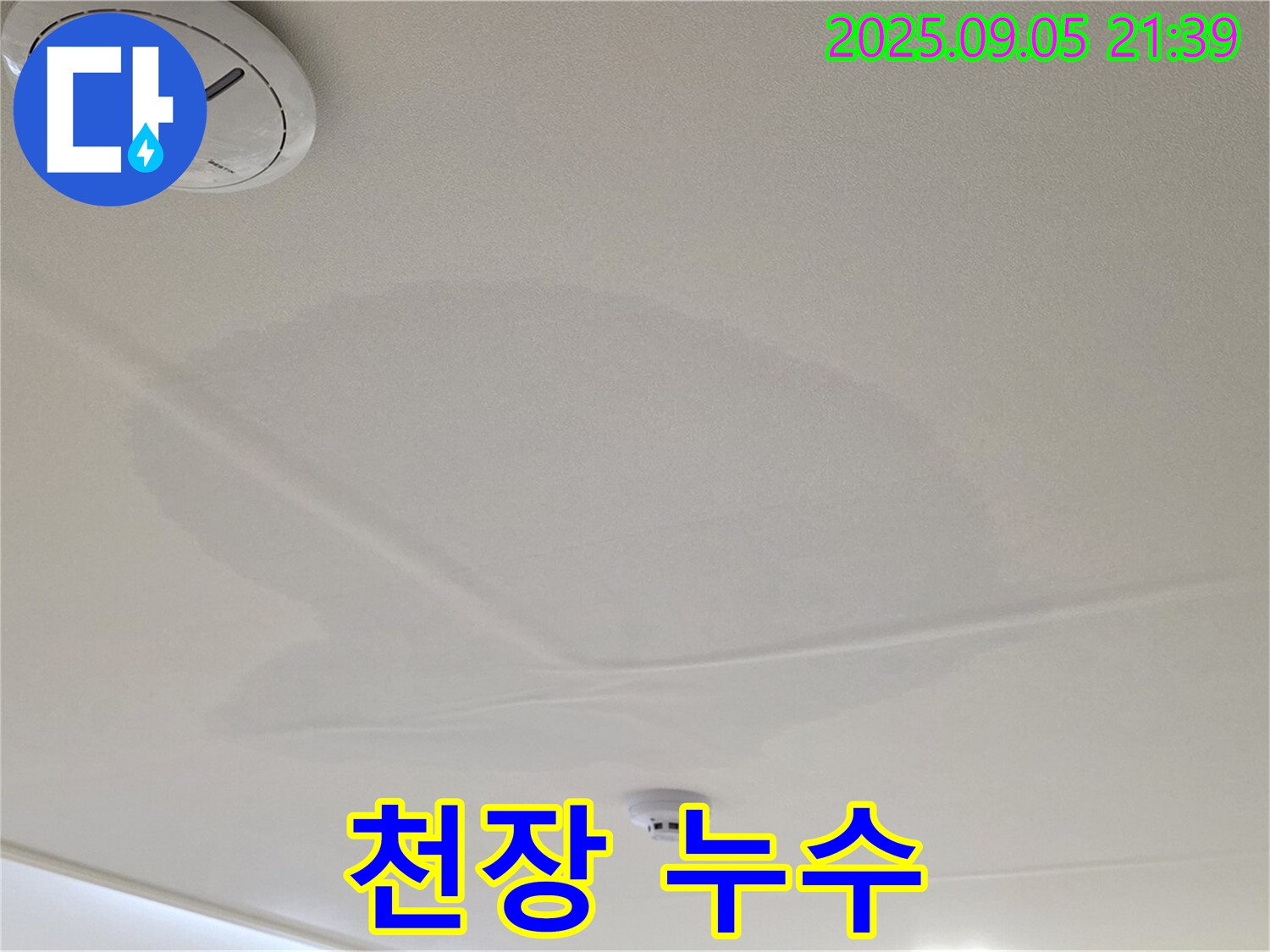 면목동 센트럴아이파크 천장 누수 - 젖어있는 천장