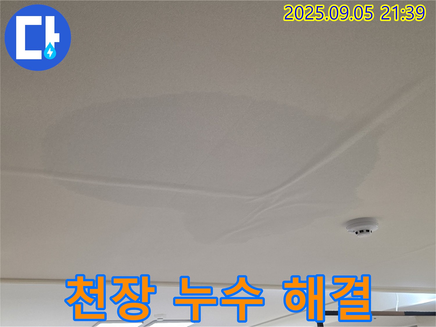 중랑구 면목동 아파트 천장 누수 - 누수 해결, 젖은 천장