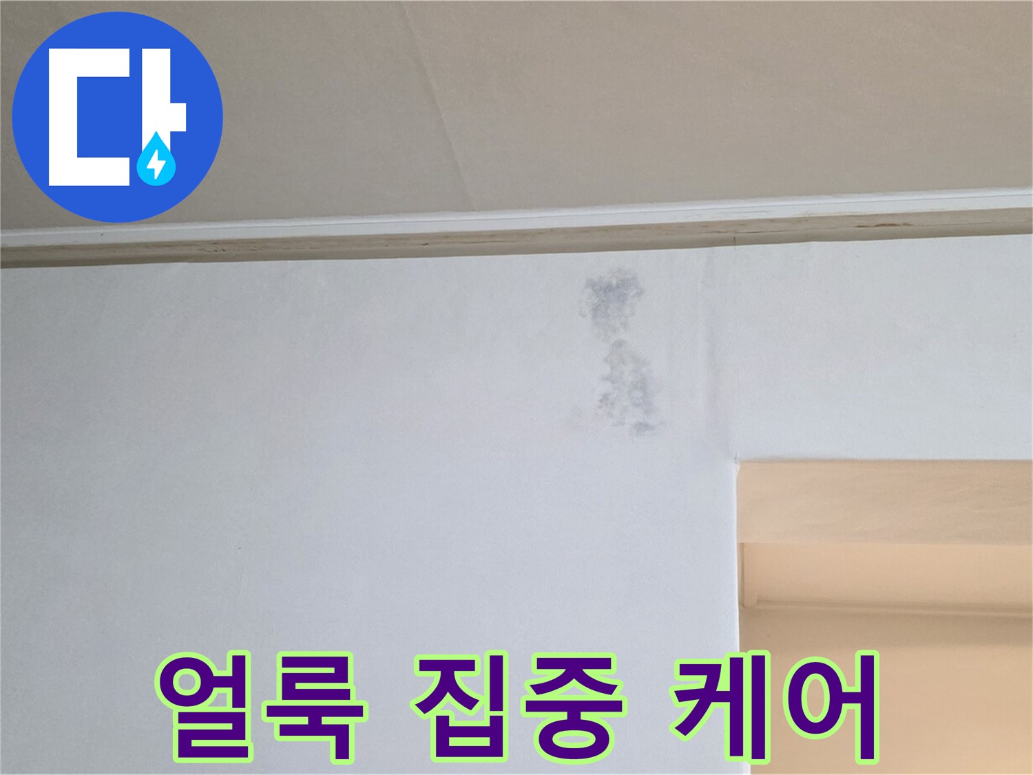 곰팡이 얼룩 발생 부위 집중 케어 - 맞춤 솔루션