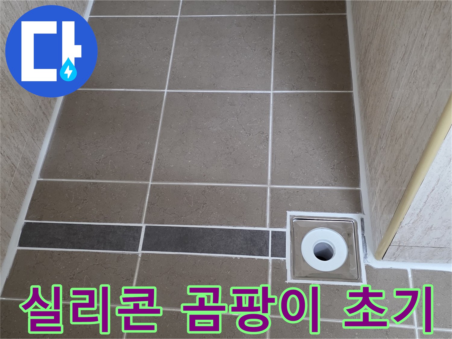 배수구 주변 실리콘 - 곰팡이 초기